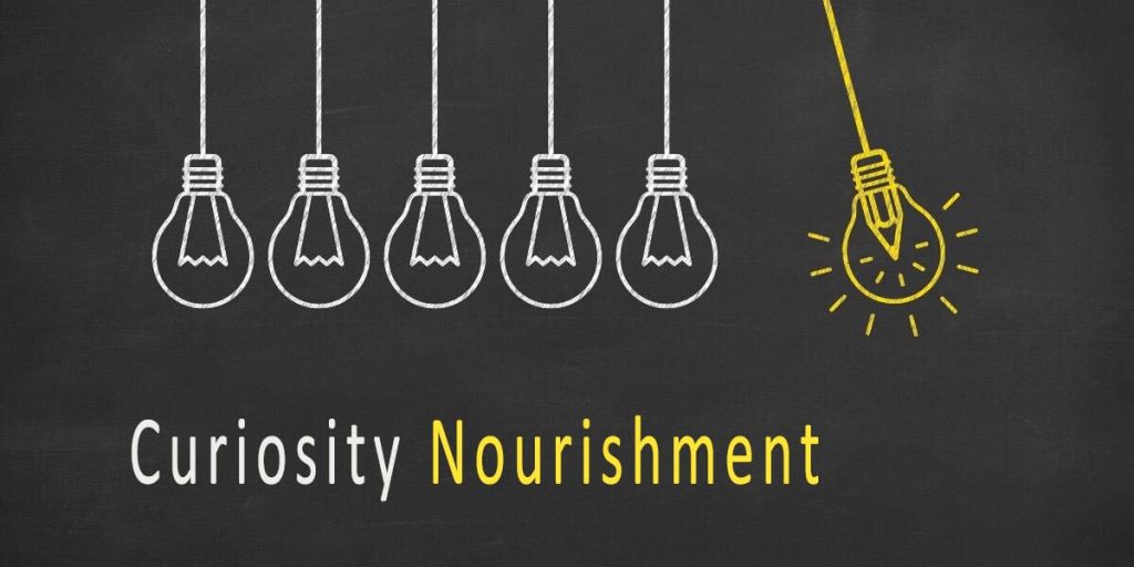 Creativity in Planning curiosity nourishment